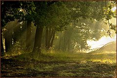 photo "***"