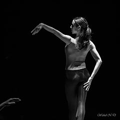 фото "Hands"