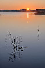 photo "***"