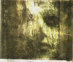 photo "METAMORPHOSE"
