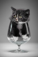 photo "Have a drink?"