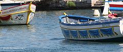 photo "calm waters"