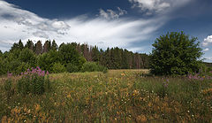 photo "***"