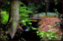 photo "***"