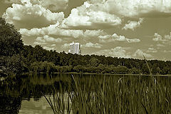 photo "***"