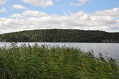 photo "***"