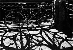photo "shadows"