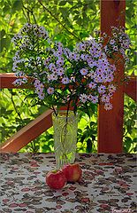photo "Dacha bouquet"