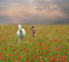 photo "Sommerzeit"