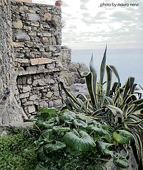 photo "a corner beside the sea"