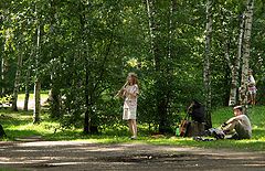 photo "Minstrel"