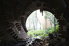 photo "***"
