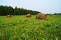photo "***"