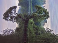 photo "About parallel worlds ..."