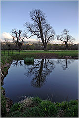 photo "***"
