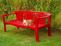 фото "The red garden bench"