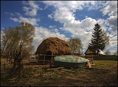 фото "Хорошо в деревне..."