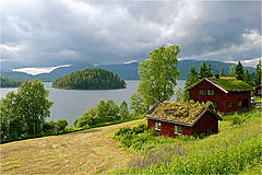 photo "For a moment, the sun came out"