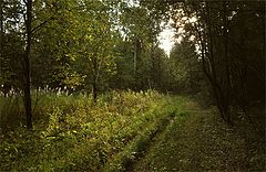 photo "***"