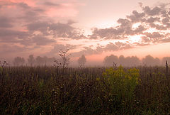 photo "***"