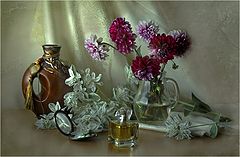 фото "..."