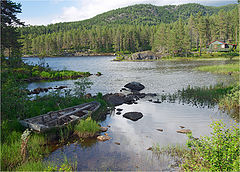 photo "Summer Cottage by the Bay"