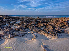 фото "Nature"