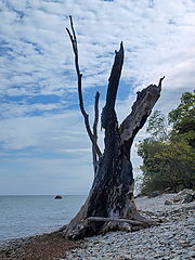 photo "Mysteries of the bay and cliff"