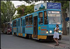 photo "A Streetcar Named Desire. Talk?-)"