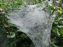 photo "#1"