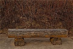 photo "Lonely bench"