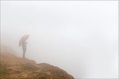фото "Ежик в тумане"