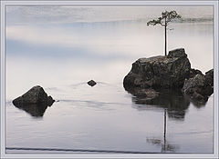 photo "Neat landscape"
