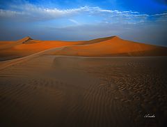 photo "SANDS AND SHADOW"