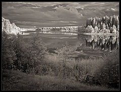 photo "***"