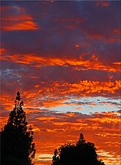 фото "Aerial Brush Strokes"