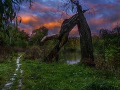 photo "About evening in early September ..."