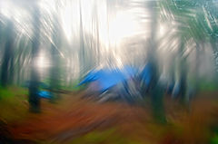 photo "***"