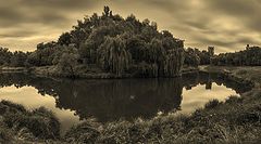 photo "Autumn mood of the city park ..."