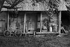 фото "Пуня"
