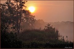 photo "***"