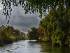 photo "Autumn rain..."