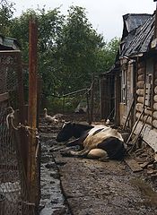 фото "Заглянуть за забор."