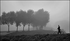 photo "***"