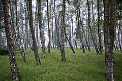 photo "***"