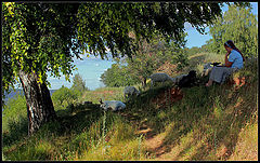 photo "***"