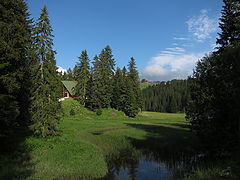 фото "Дурмитор"
