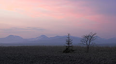 фото "на заре"