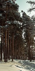фото "Нижний Тагил"