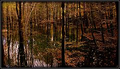 фото "Poetry in Color"